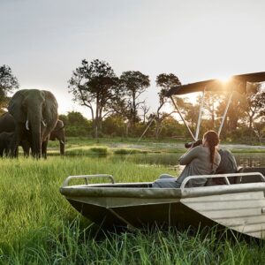 Chobe Day Trip