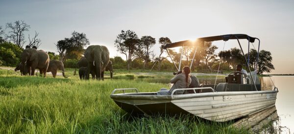 Chobe Day Trip