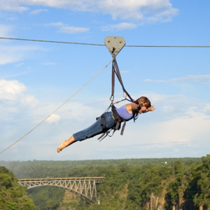 Flying Fox
