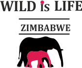 Wild is Life