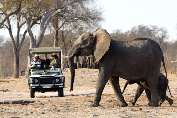 Safari Pass Experience