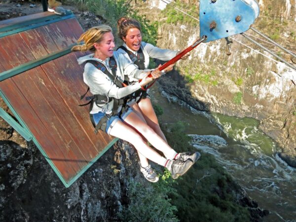 Zipline Tandem